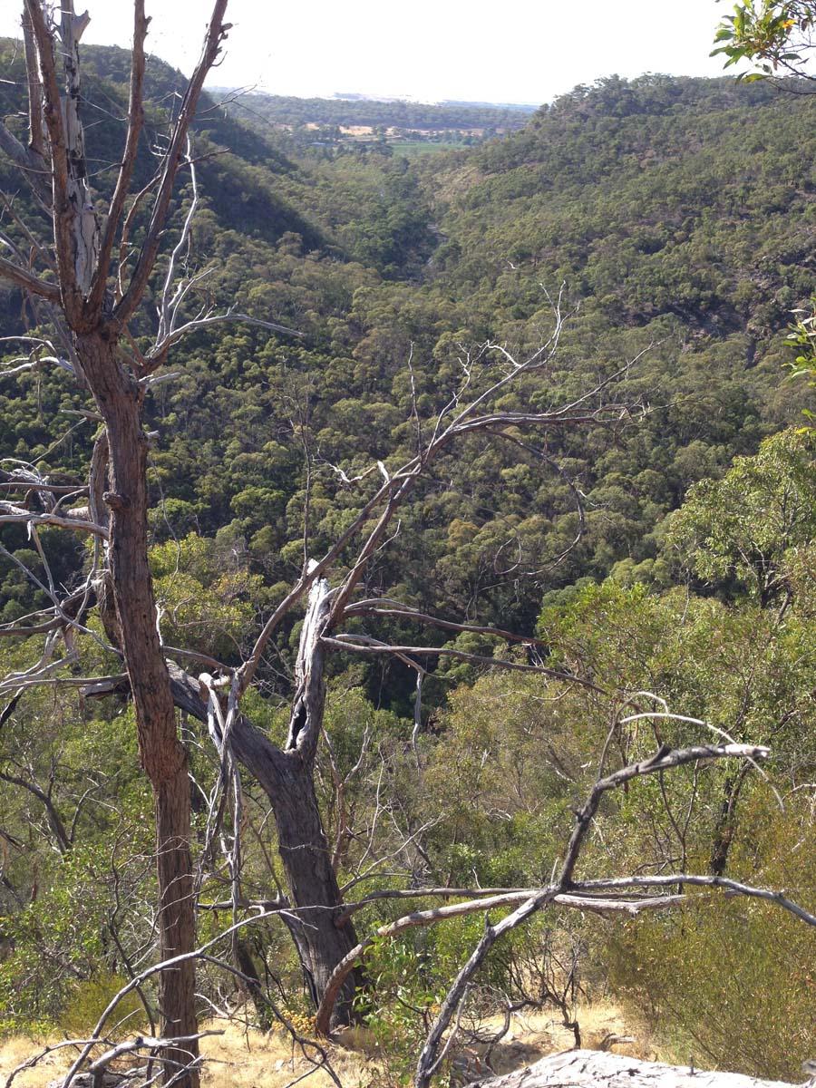 Lerderderg gorge walk to grahams dam 15