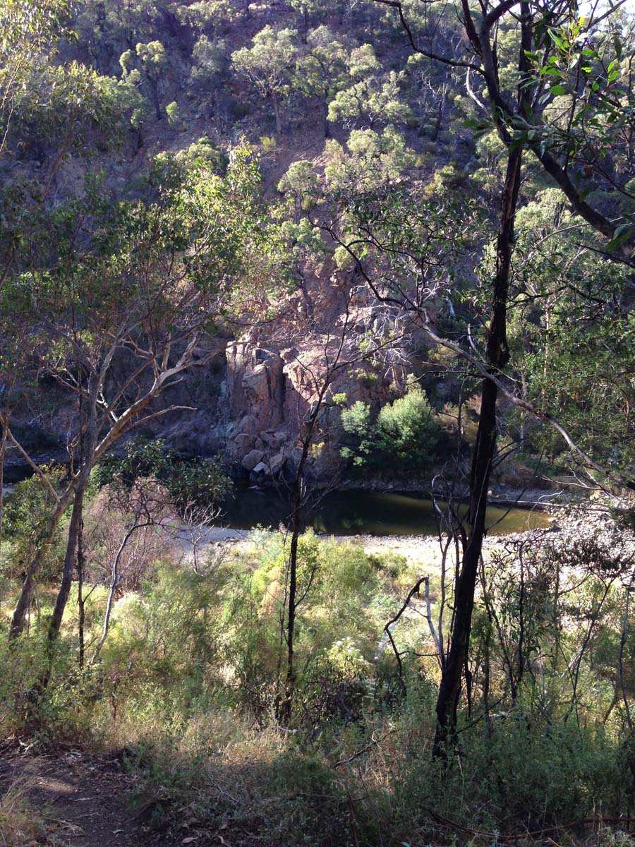 Lerderderg gorge walk to grahams dam 16