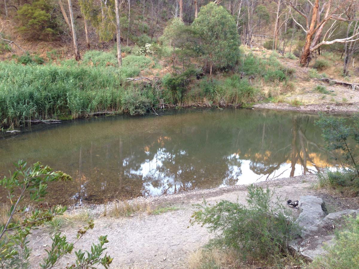 Lerderderg gorge walk to grahams dam 2