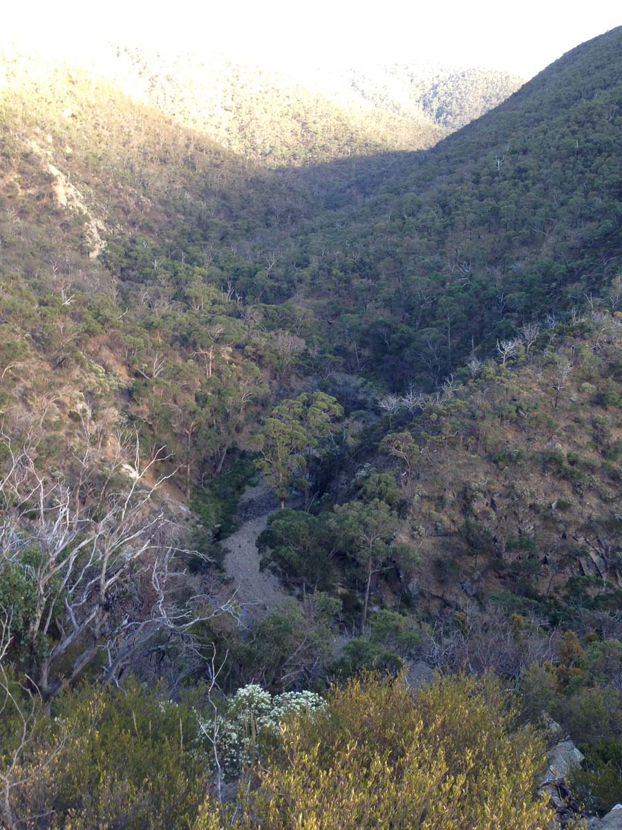 Lerderderg gorge walk to grahams dam 8