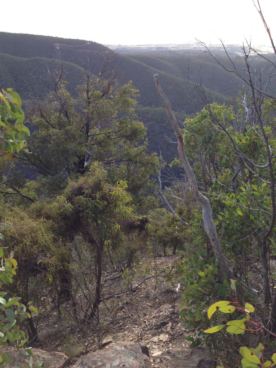 Lerderderg gorge walk to grahams dam 9