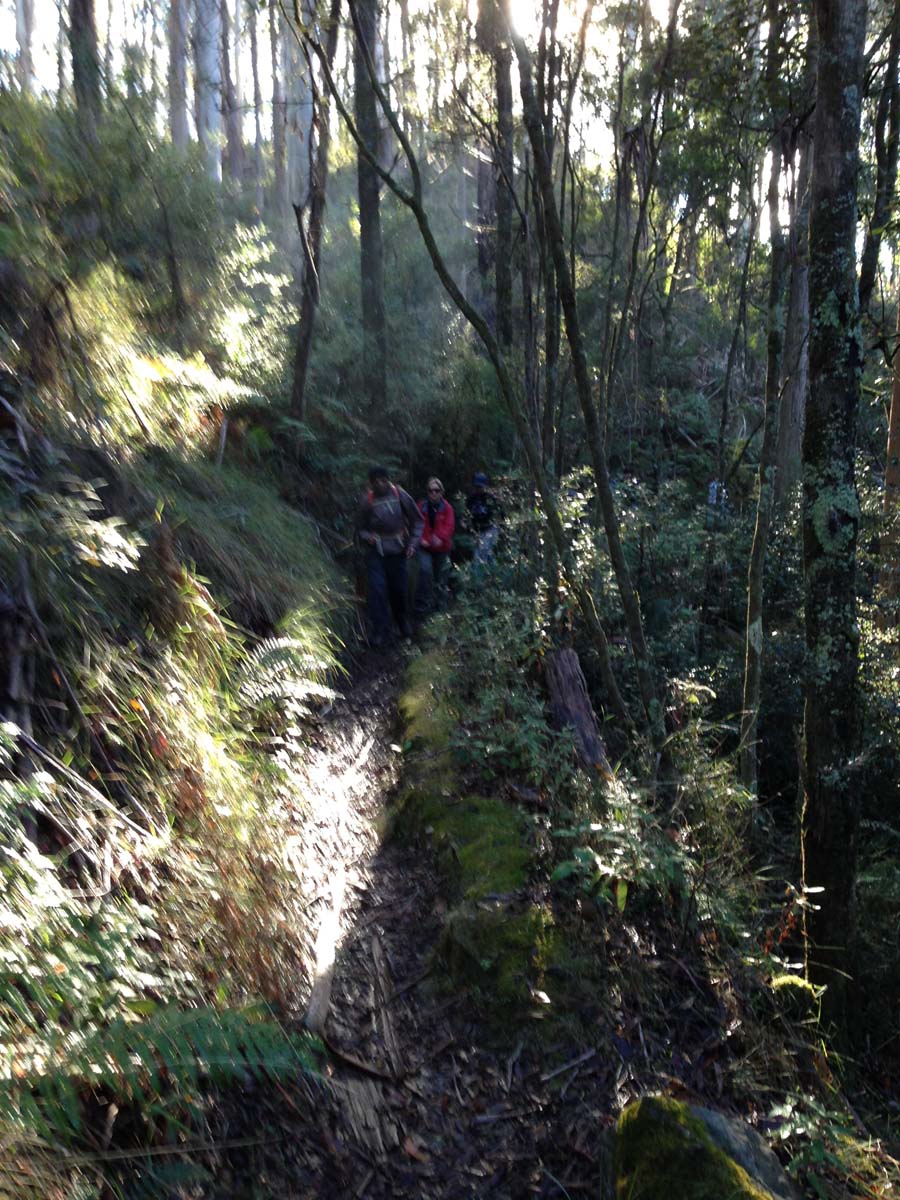 Lerderderg heritage river & whipstick loop hike 16