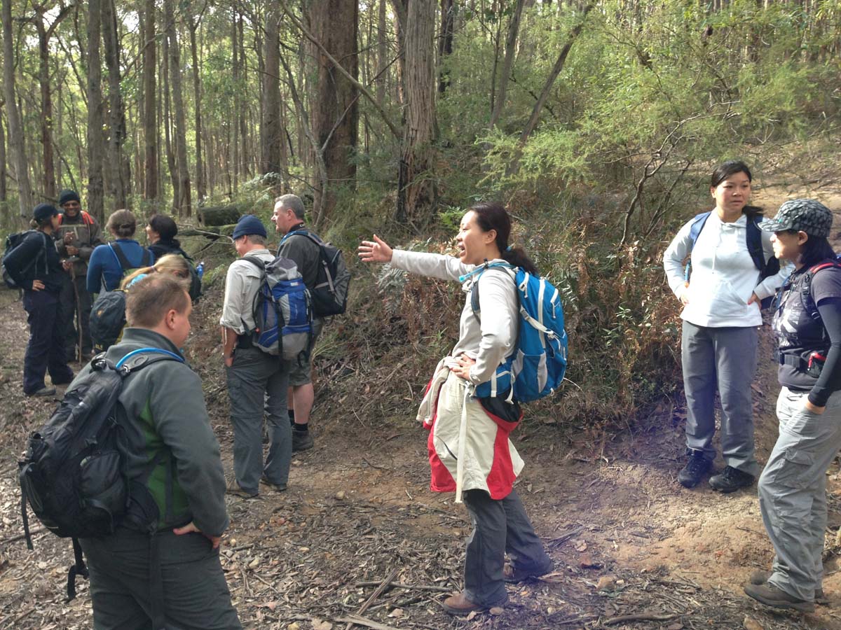 Lerderderg heritage river & whipstick loop hike 26