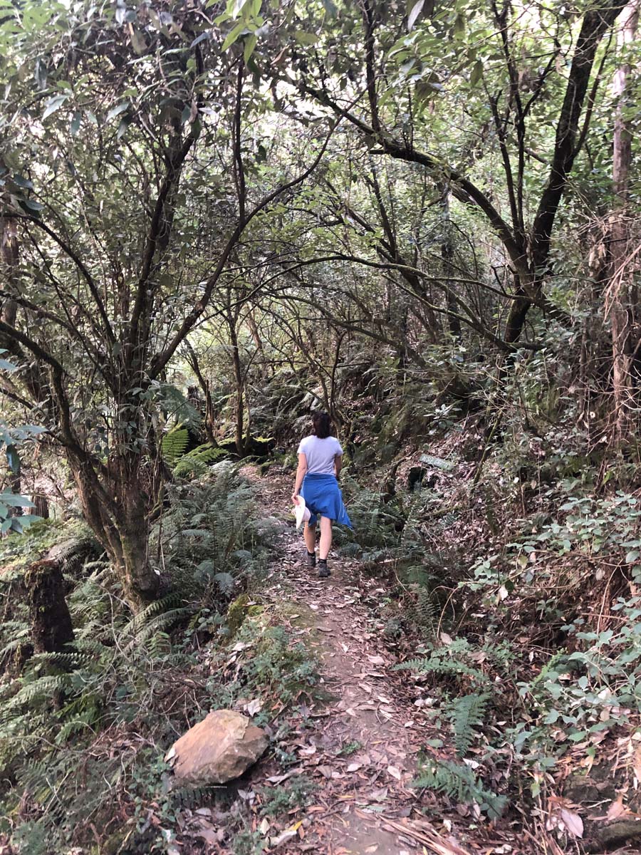 Lerderderg heritage river walk 23
