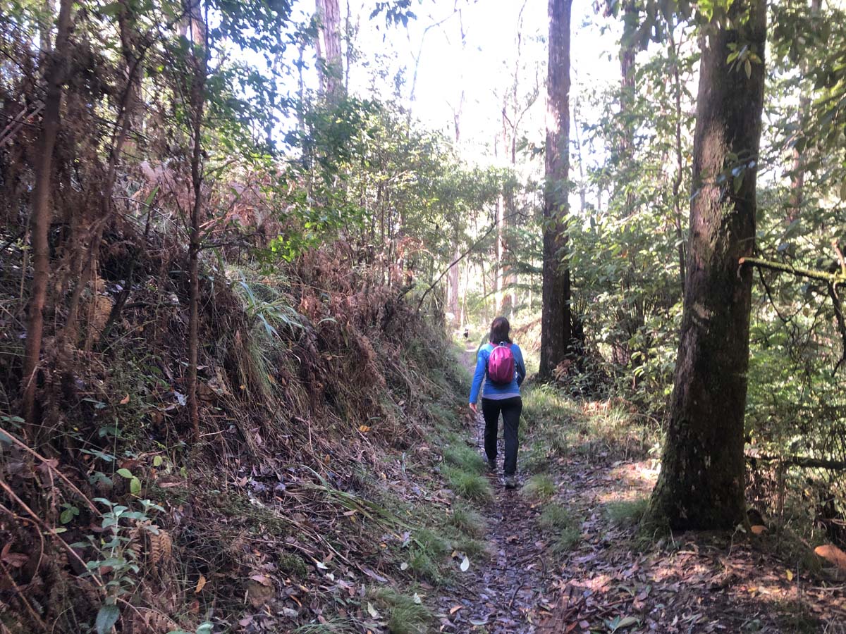 Lerderderg heritage river walk 5