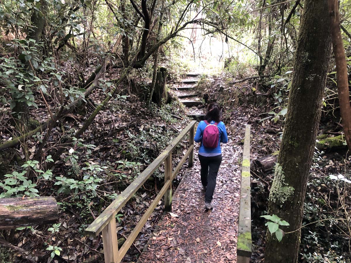 Lerderderg heritage river walk 8