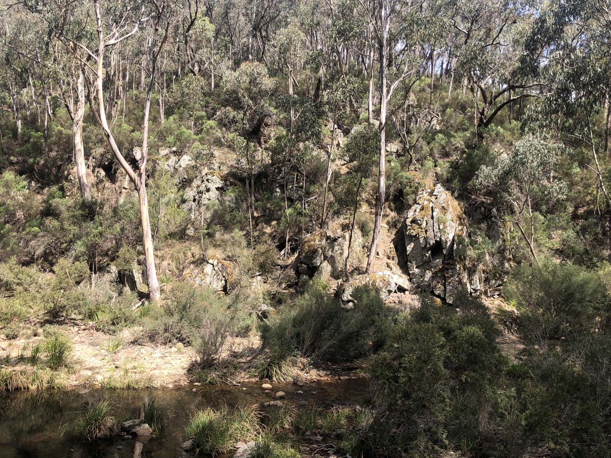 Lerderderg northern circuit hike 11