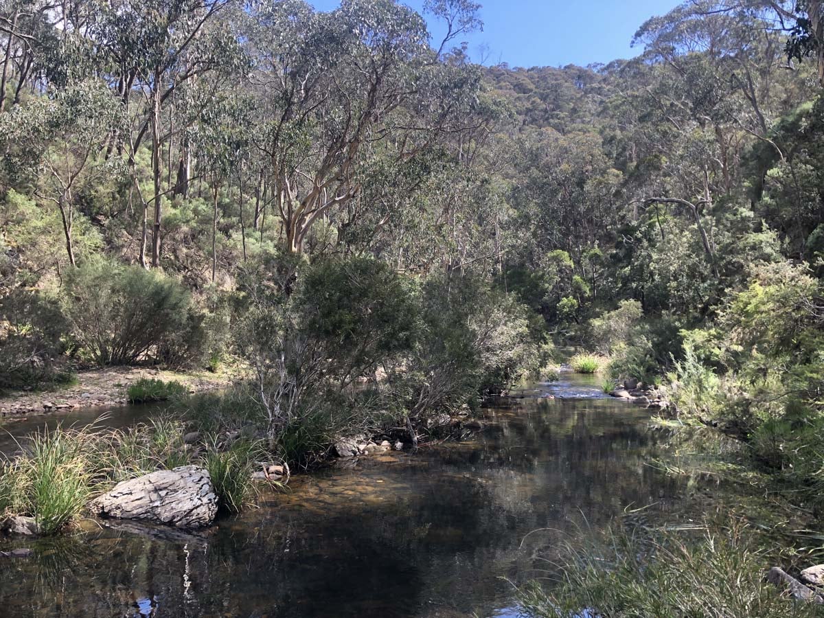 Lerderderg northern circuit hike 13