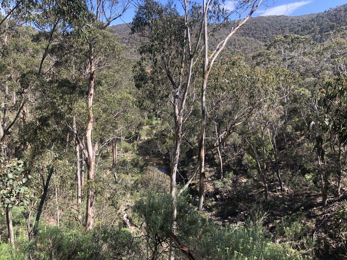 Lerderderg northern circuit hike 17