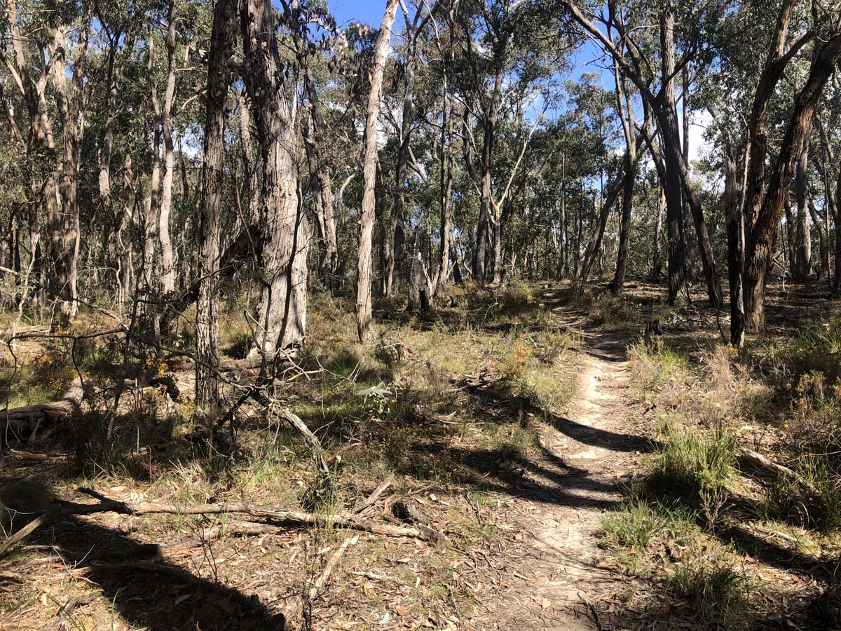 Lerderderg northern circuit hike 18