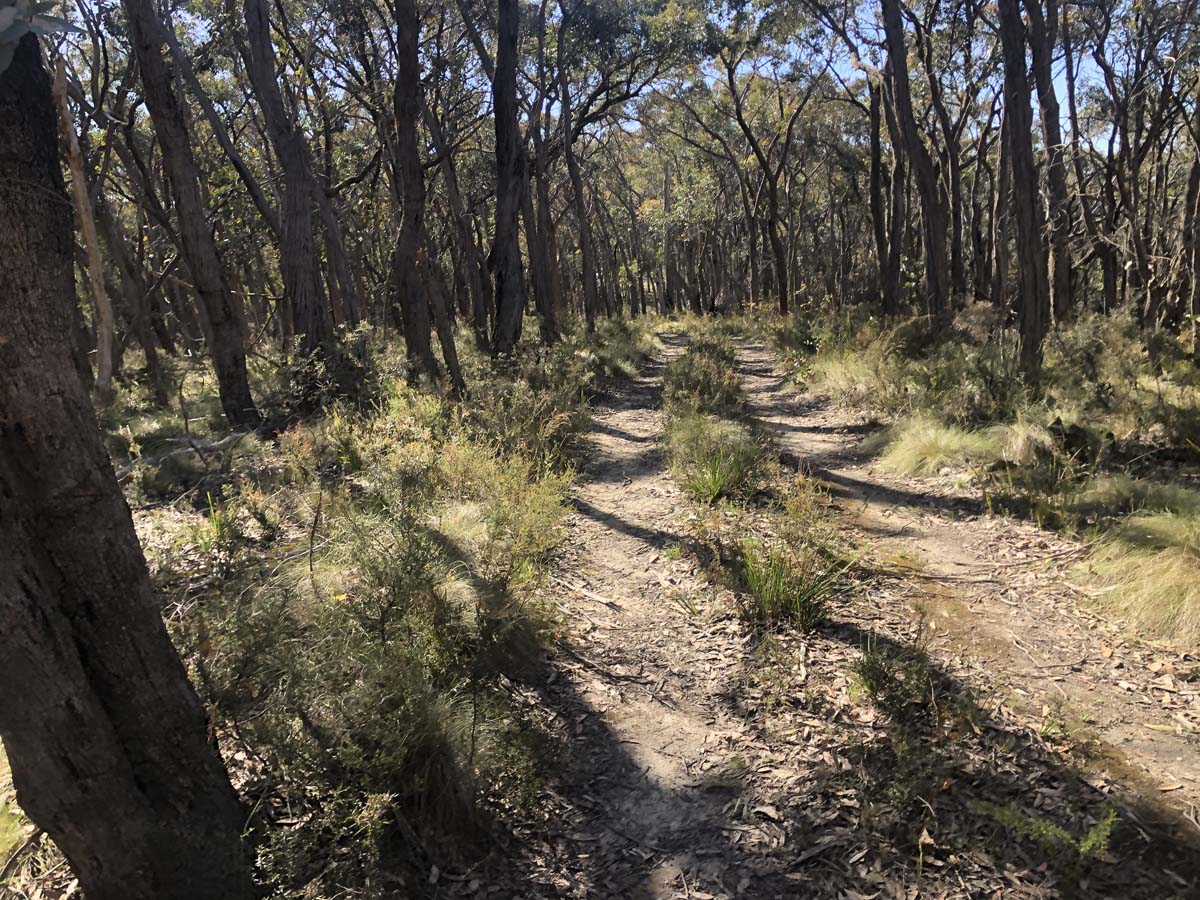 Lerderderg northern circuit hike 24