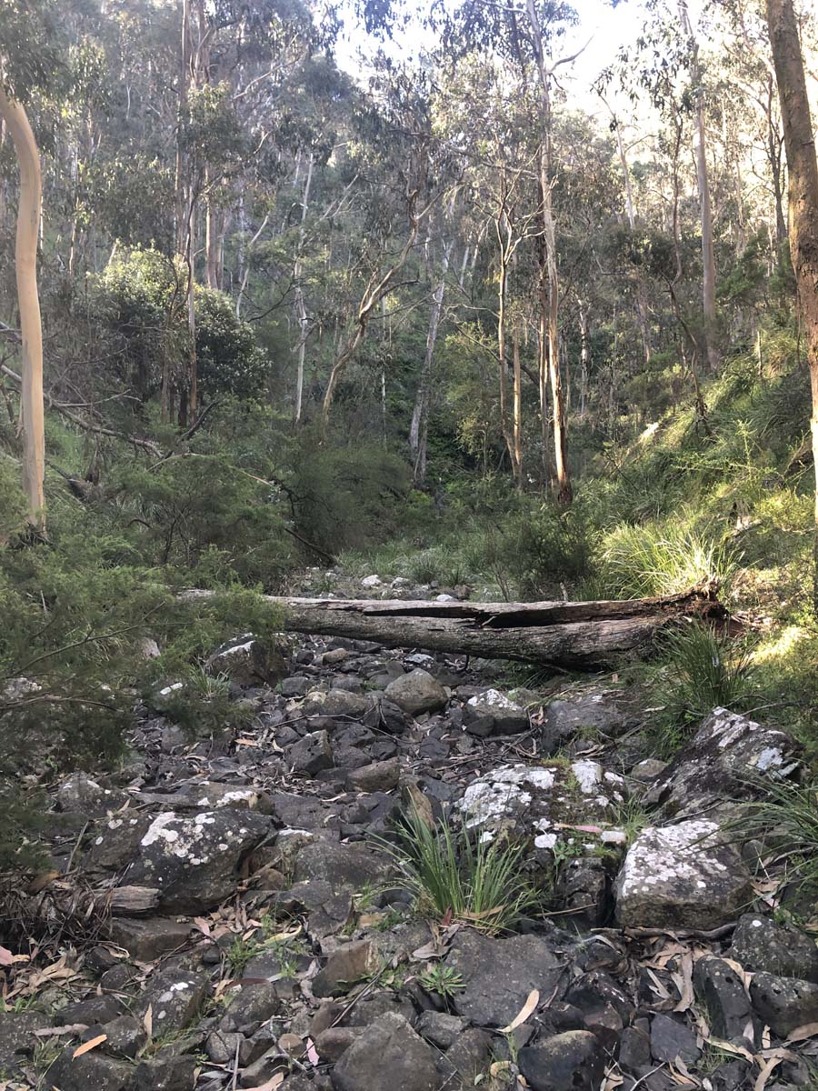 Lerderderg northern circuit hike 28