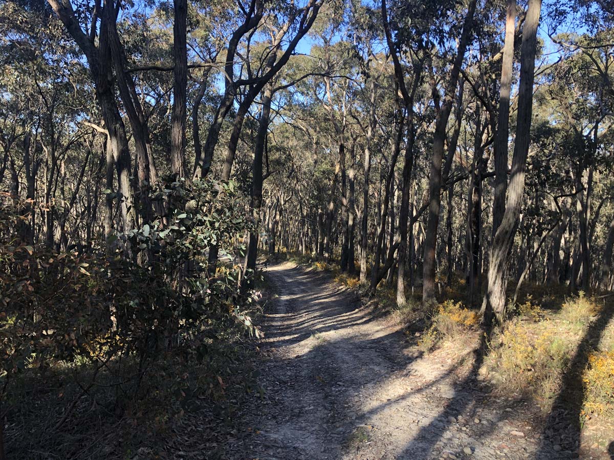 Lerderderg northern circuit hike 34