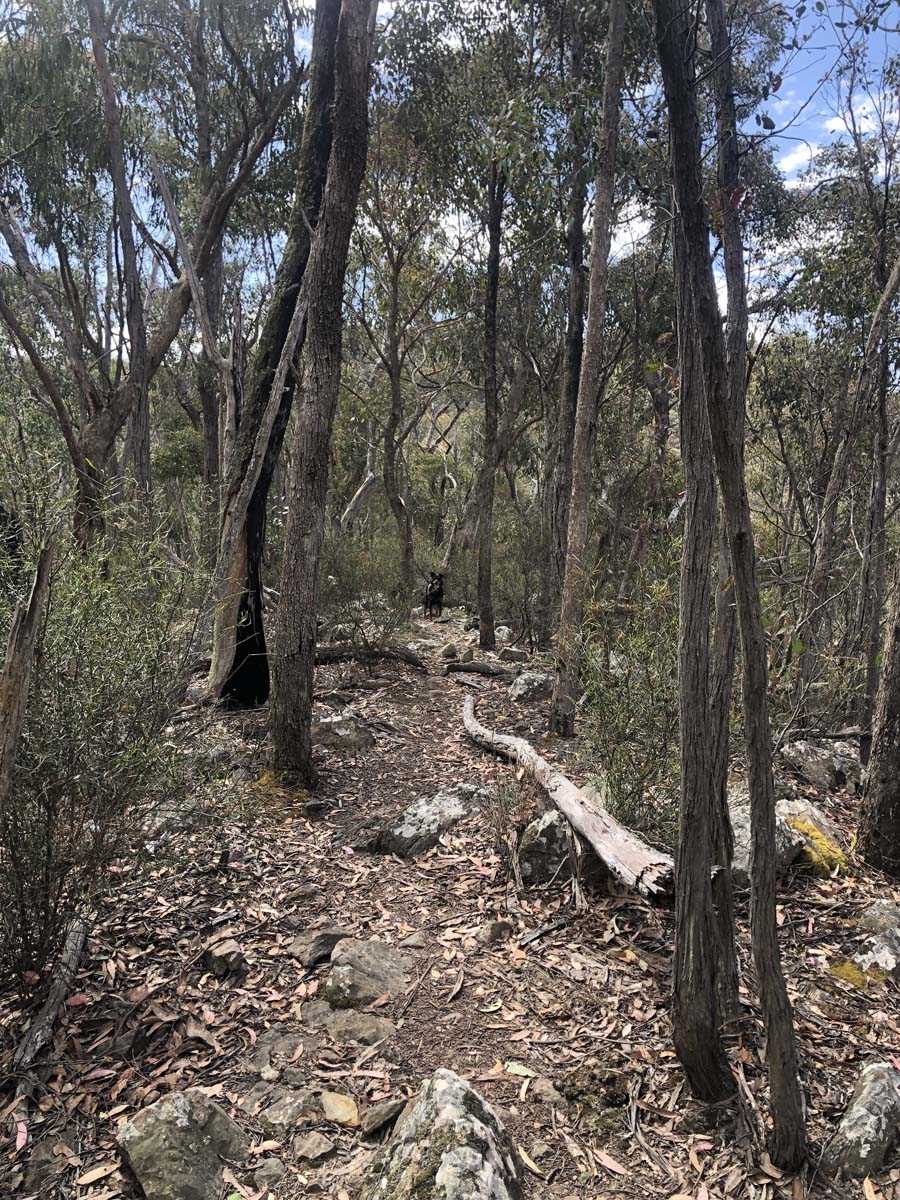 Lerderderg northern circuit hike 6