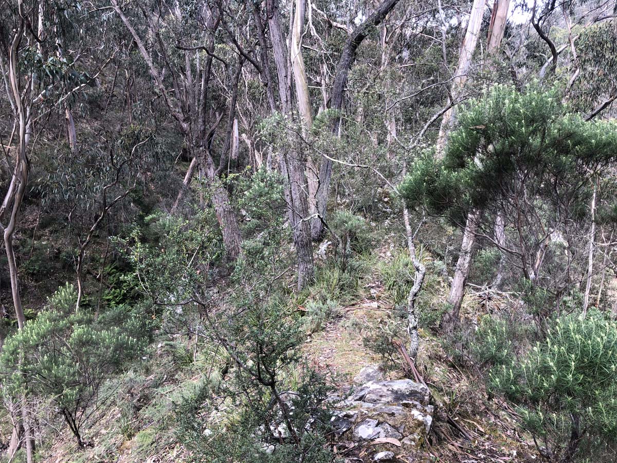 Lerderderg northern circuit hike 9