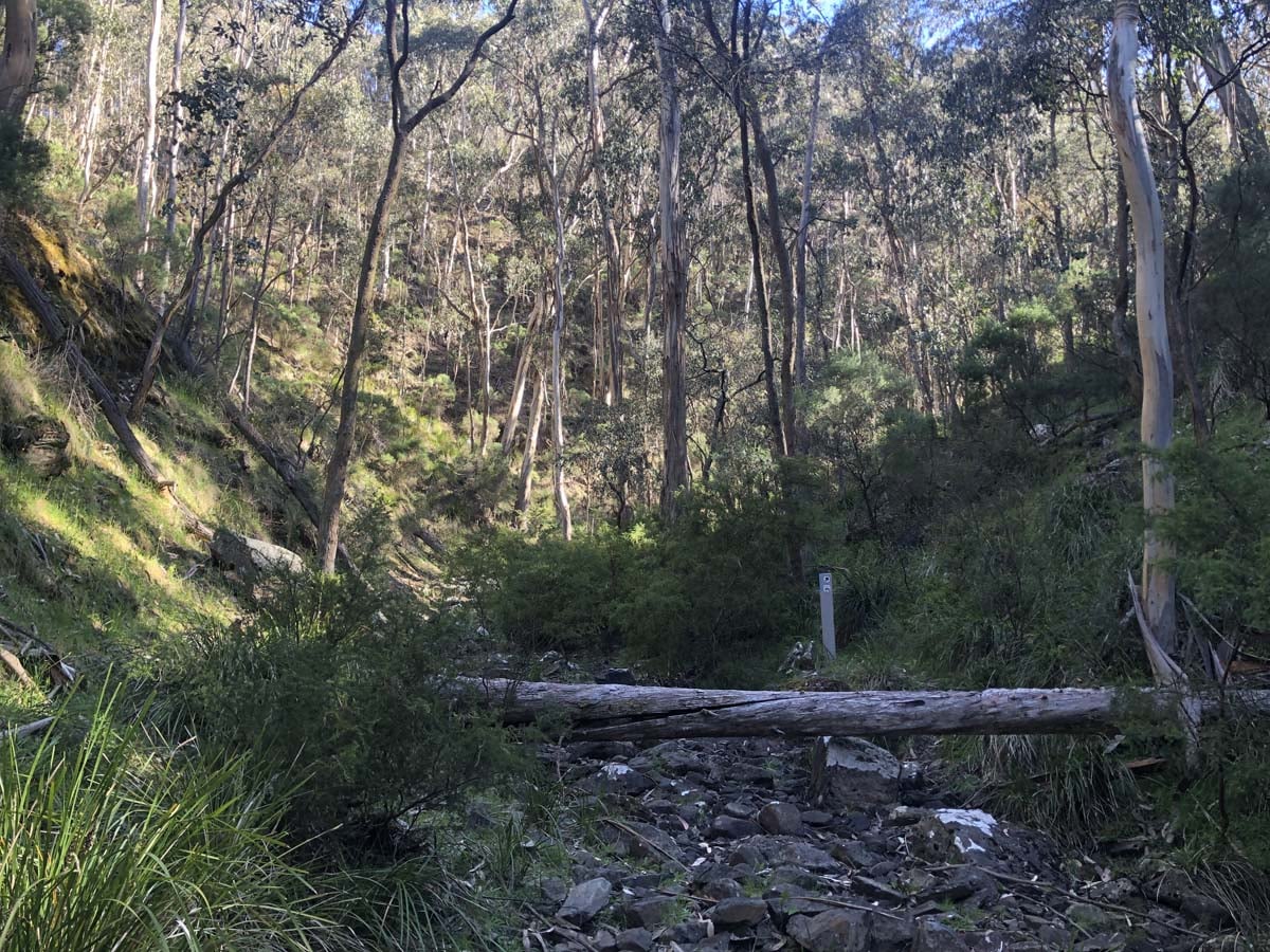 Lerderderg northern circuit hike 29