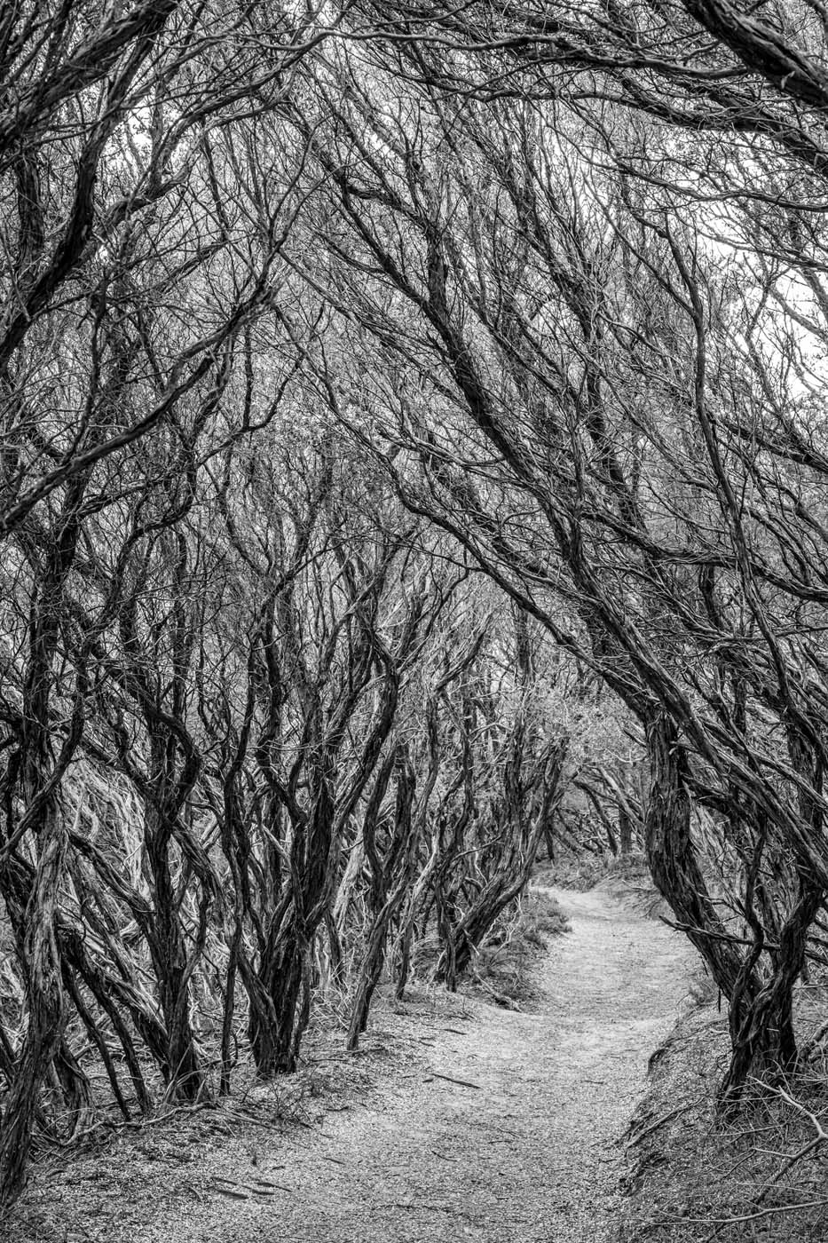 Little oberon bay hike (1)