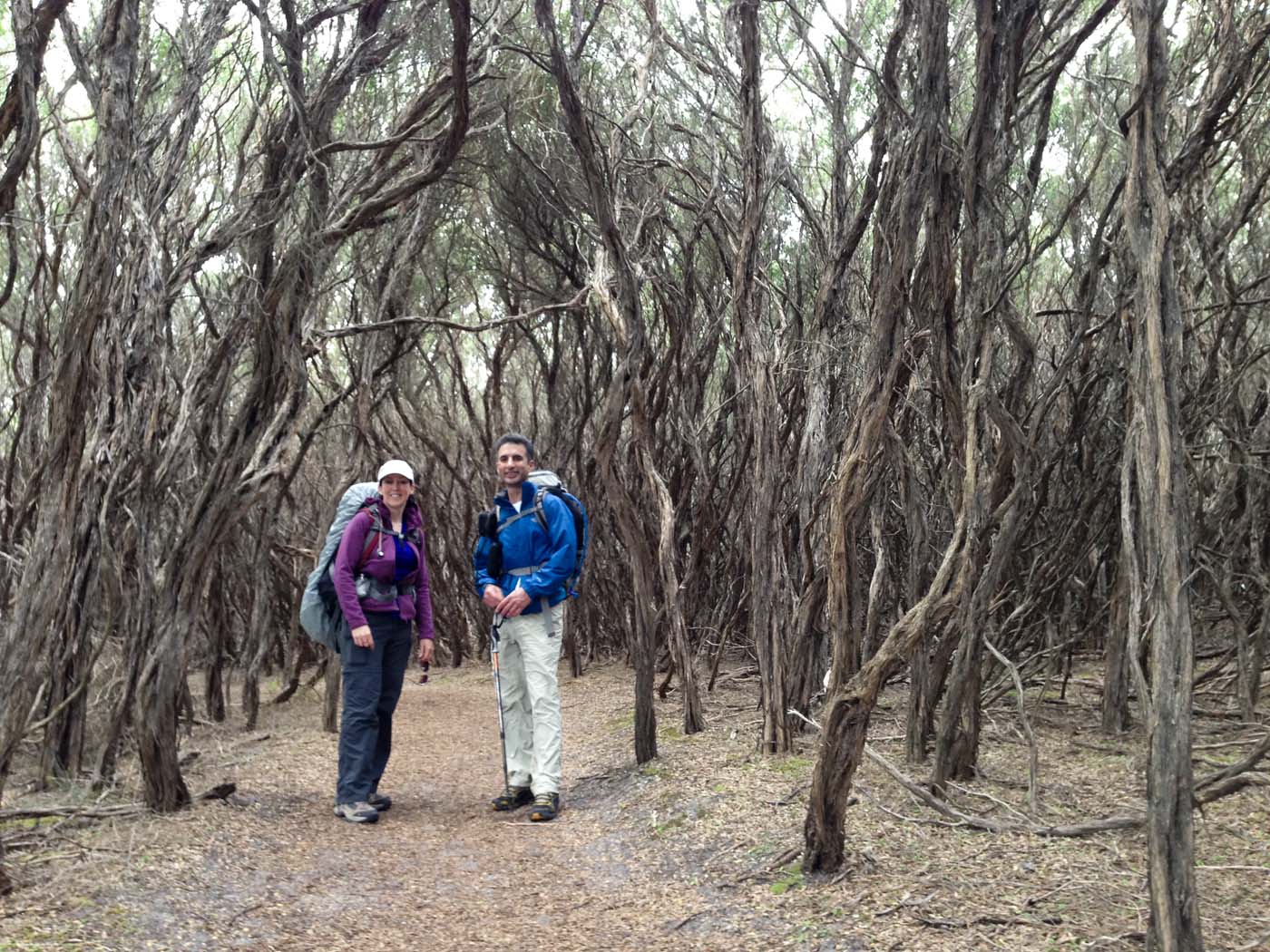 Little oberon bay hike (10)