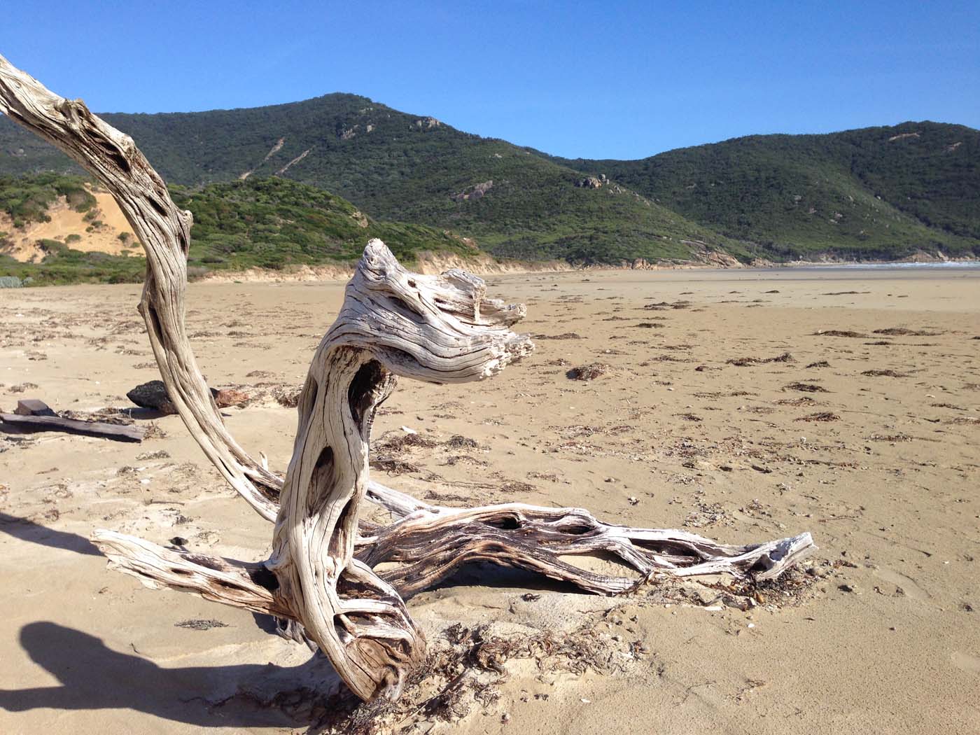 Little oberon bay hike (2)