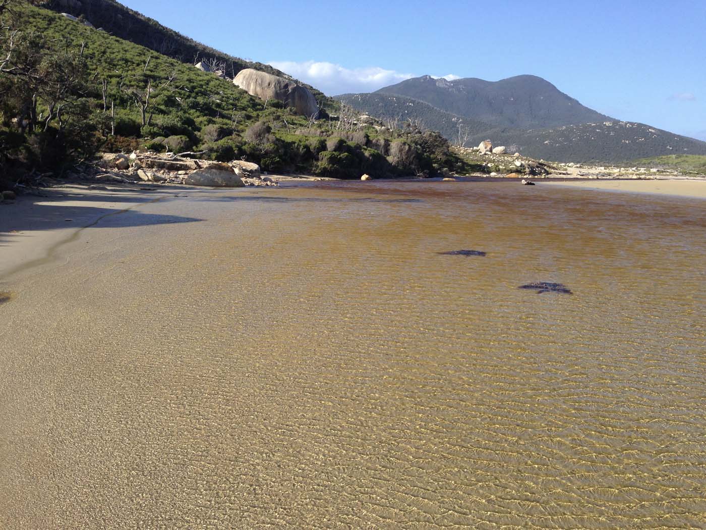 Little oberon bay hike (6)