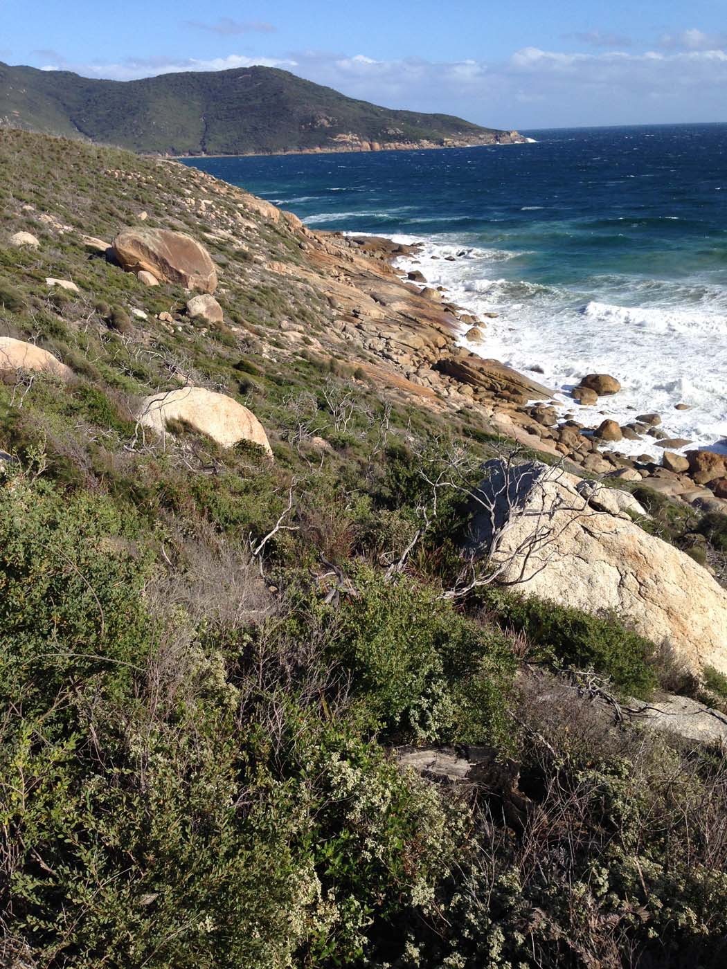 Little oberon bay hike (7)