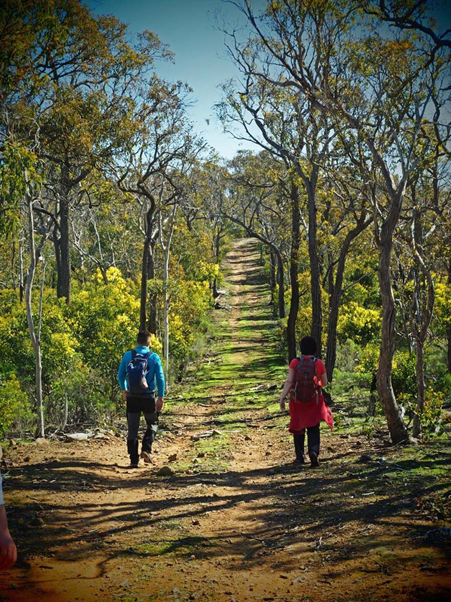 Little river gorge walk 4