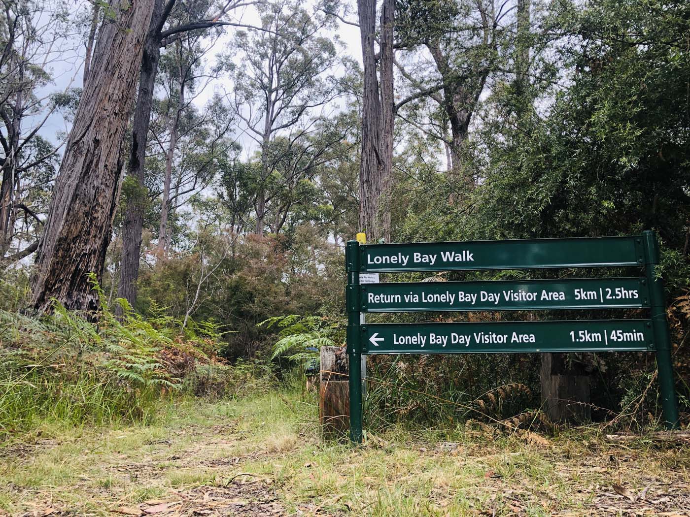 Lonely bay walk (1)