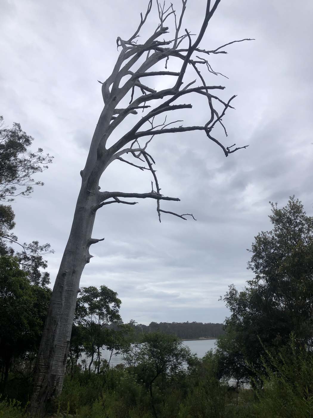 Lonely bay walk (10)