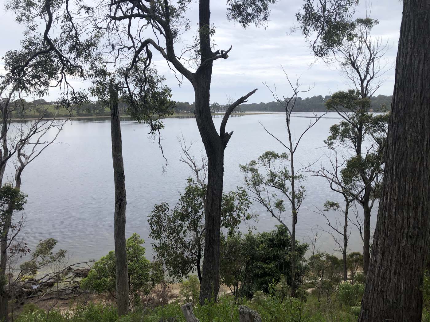 Lonely bay walk (14)