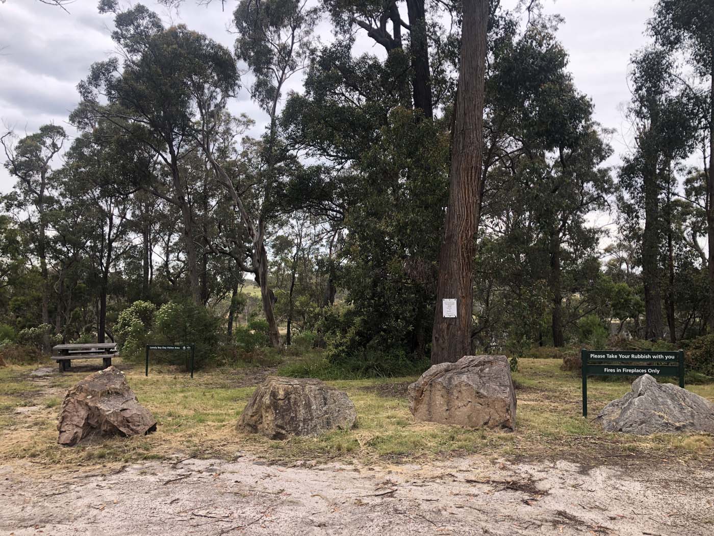 Lonely bay walk (15)