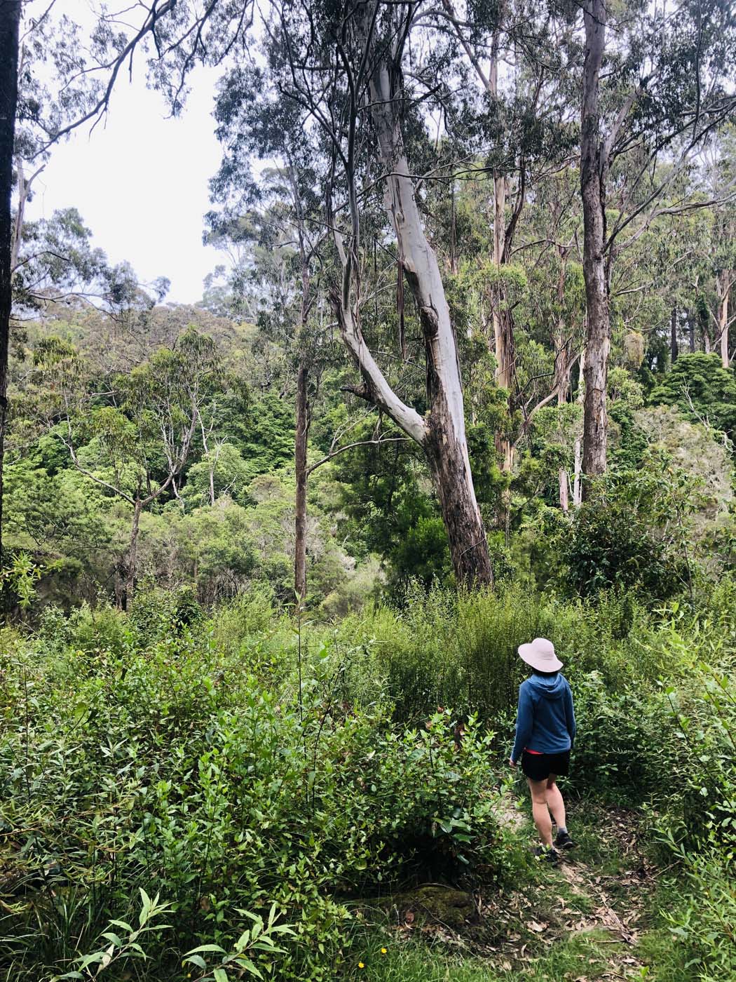 Lonely bay walk (2)