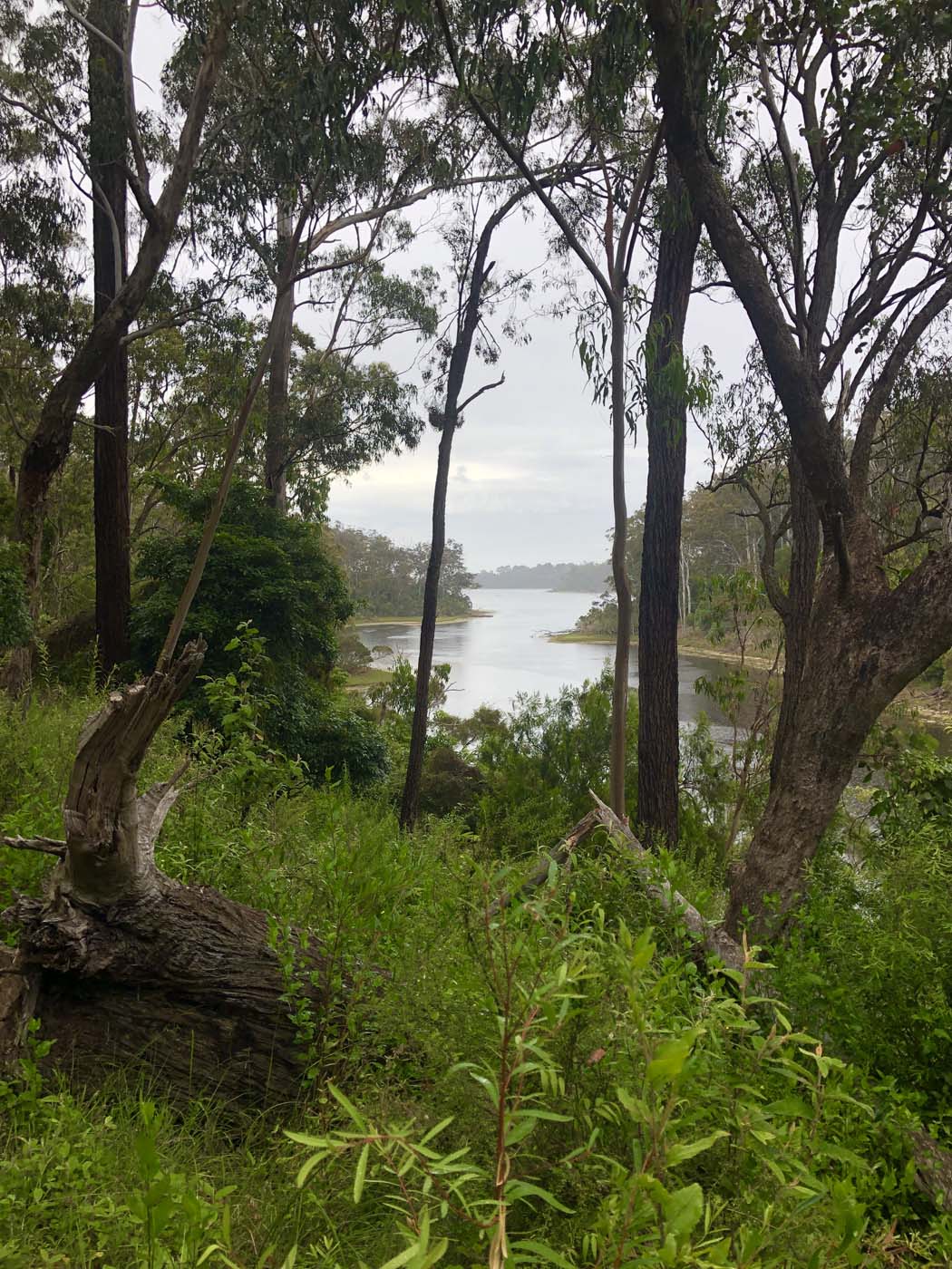 Lonely bay walk (6)