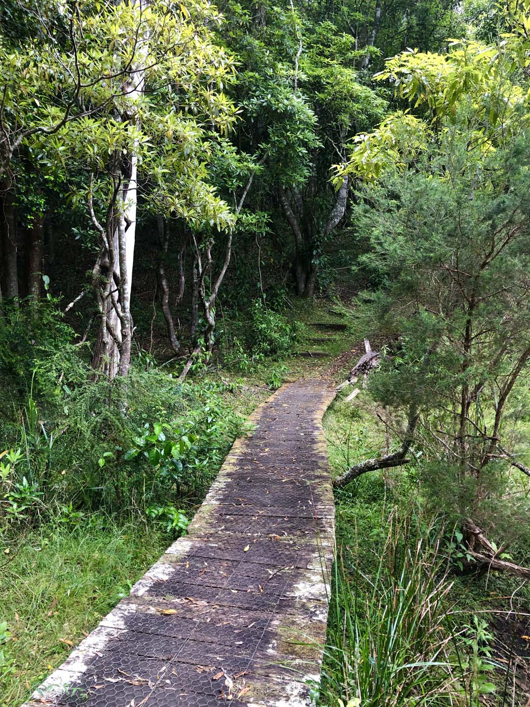 Lonely bay walk (7)