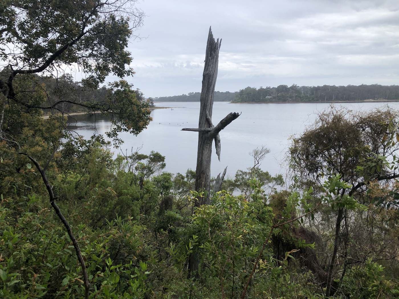 Lonely bay walk (9)