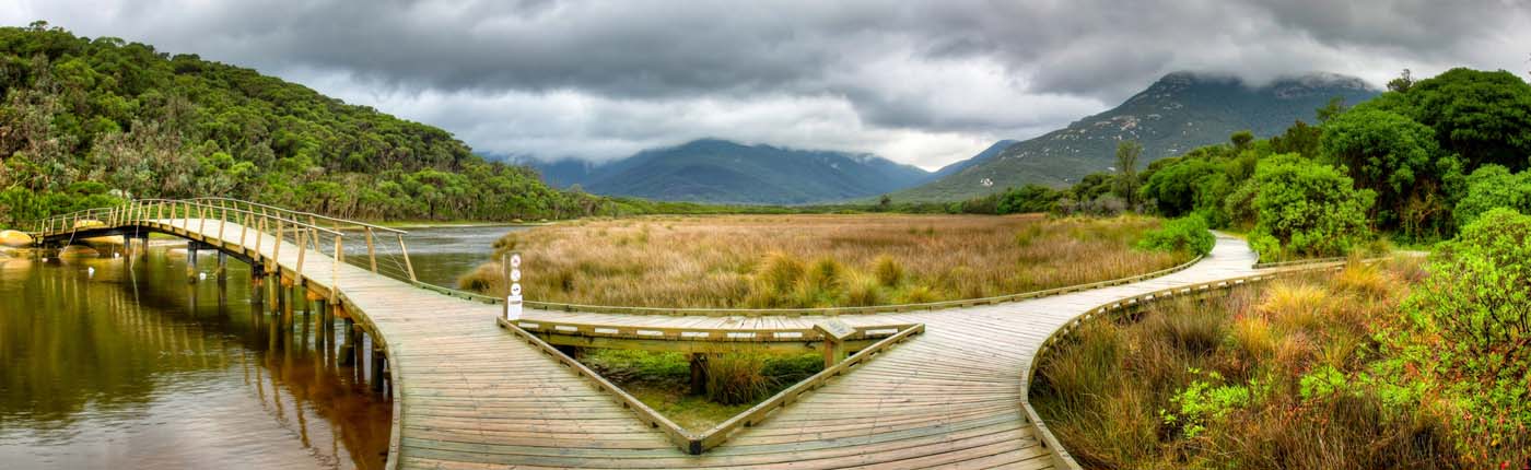 Loo errn track wilsons prom (2)