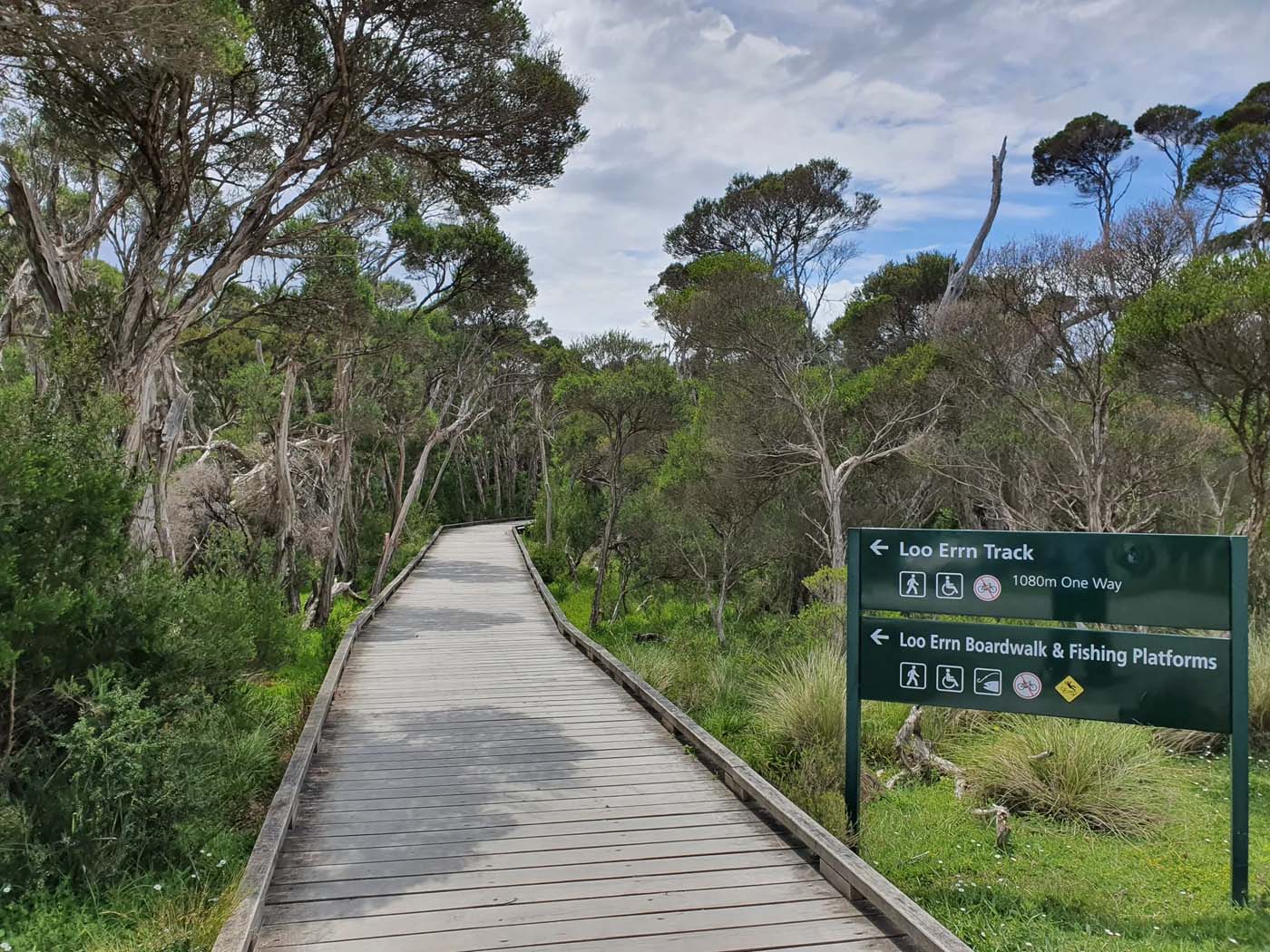 Loo errn track wilsons prom (2) 1