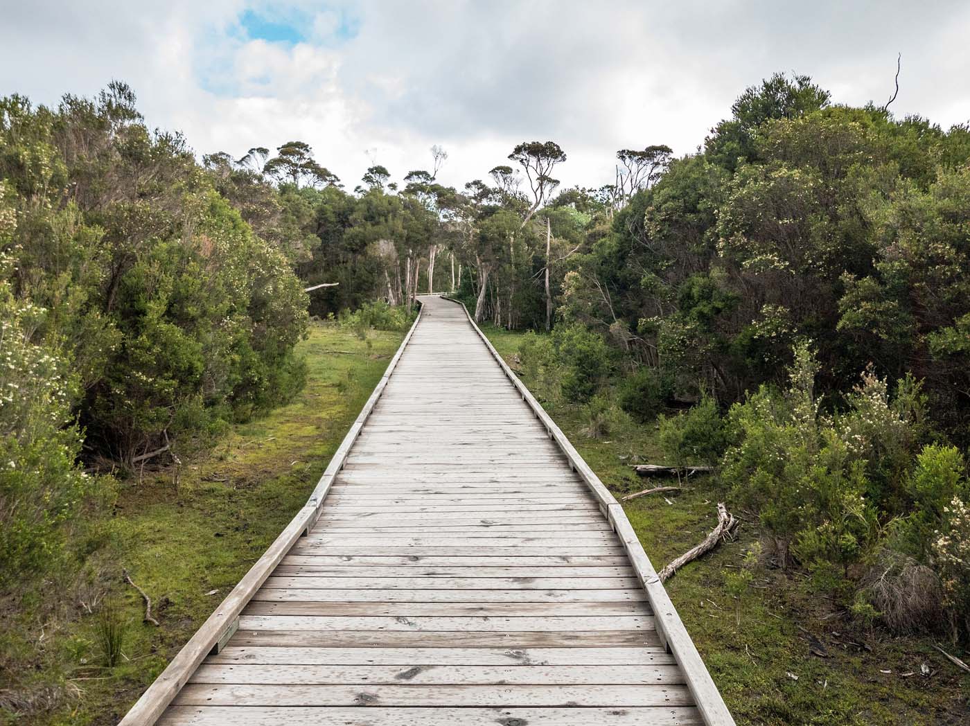 Loo errn track wilsons prom (3)