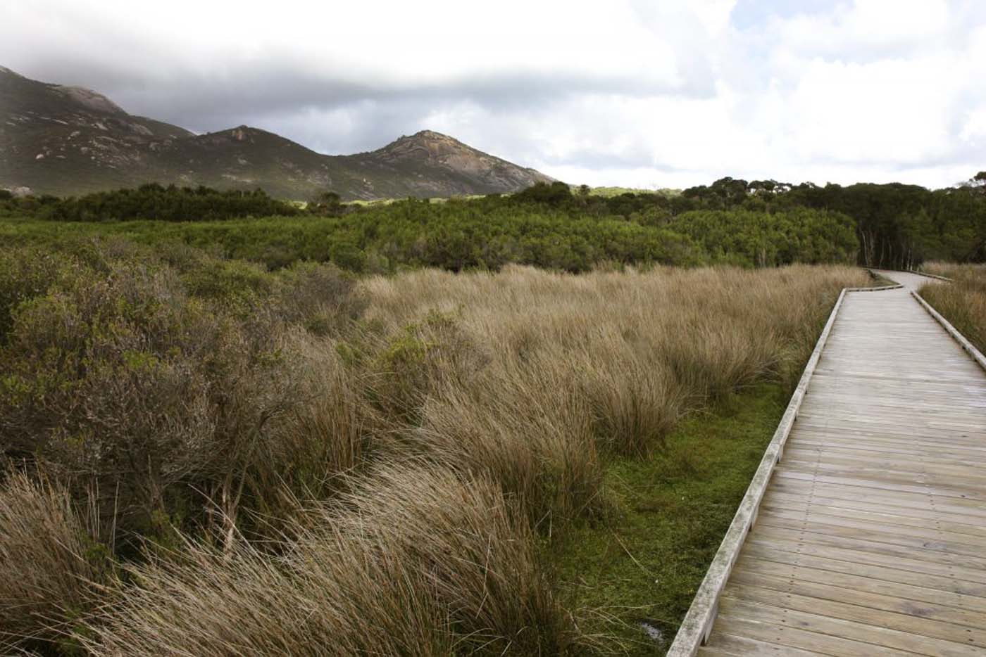 Loo errn track wilsons prom (4)