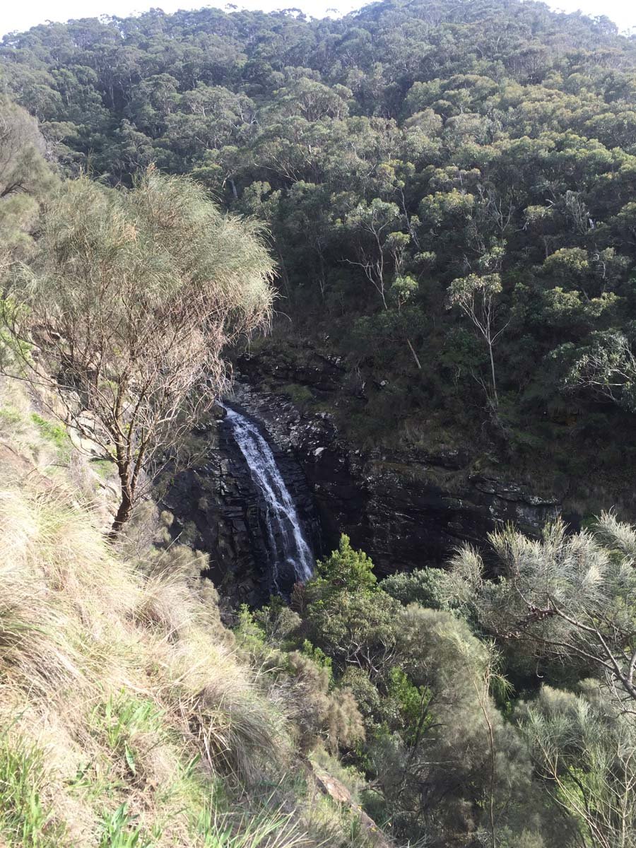 Lorne waterfalls canyon & castle rock hike 1