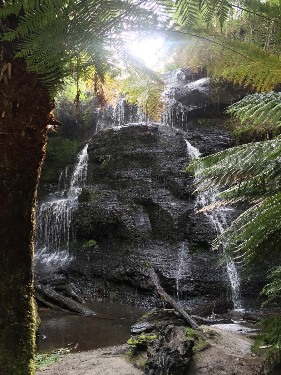Lorne waterfalls canyon & castle rock hike 23