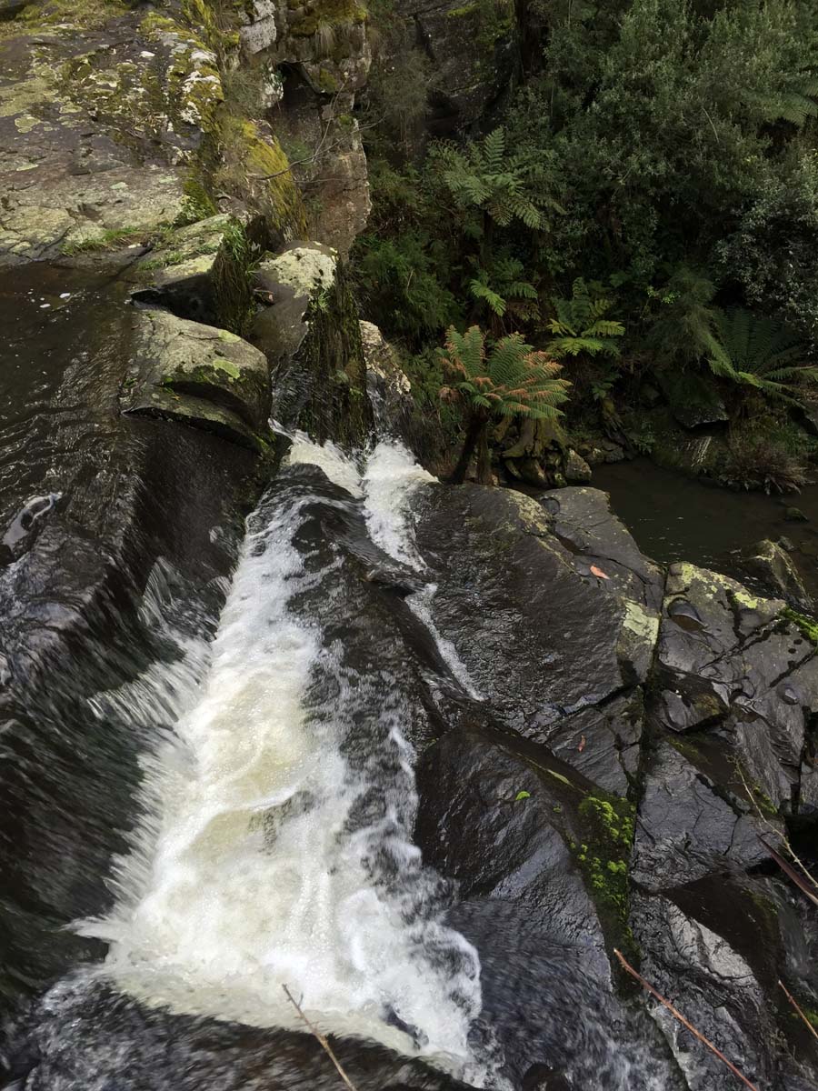 Lorne waterfalls canyon & castle rock hike 29