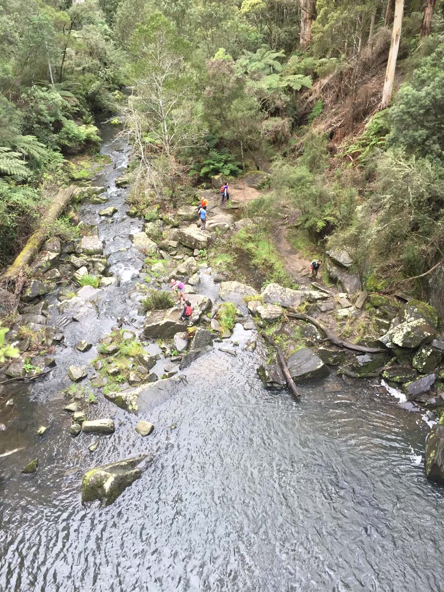 Lorne waterfalls canyon & castle rock hike 31