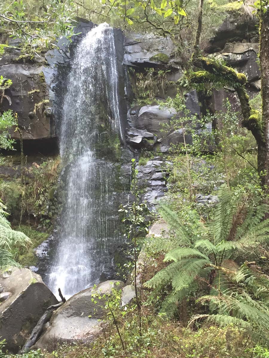 Lorne waterfalls canyon & castle rock hike 8