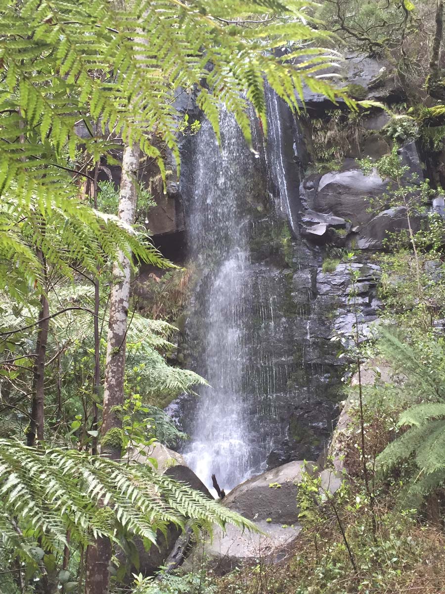 Lorne waterfalls canyon & castle rock hike 9