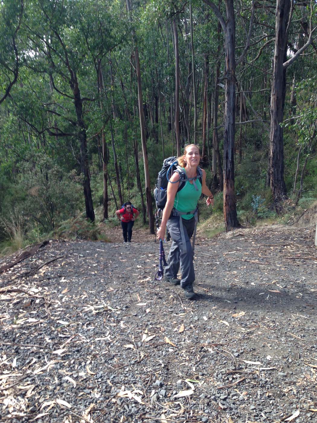 Lorne waterfalls hike (11)