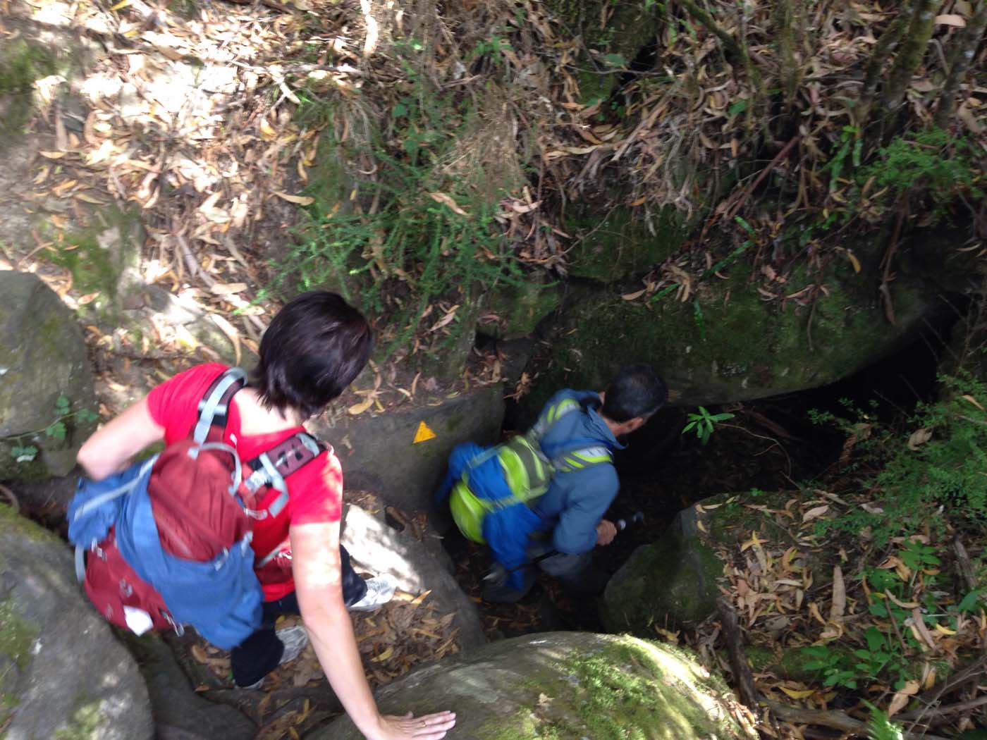 Lorne waterfalls hike (12)