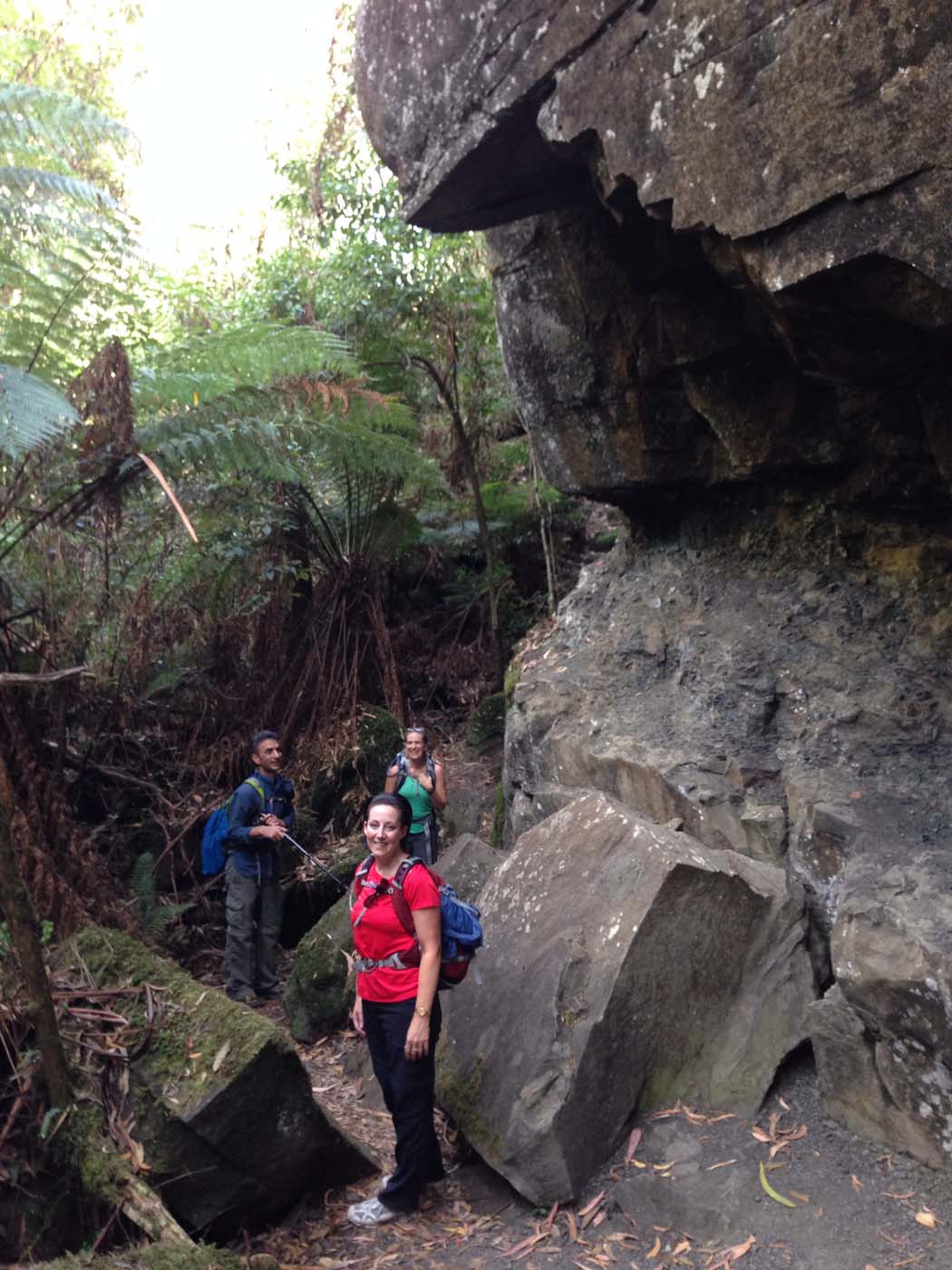 Lorne waterfalls hike (13)