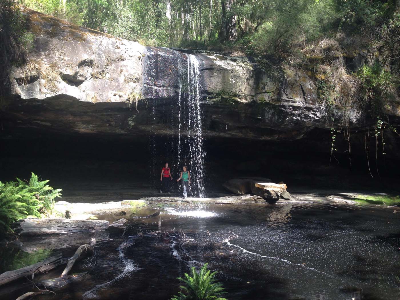Lorne waterfalls hike (15)
