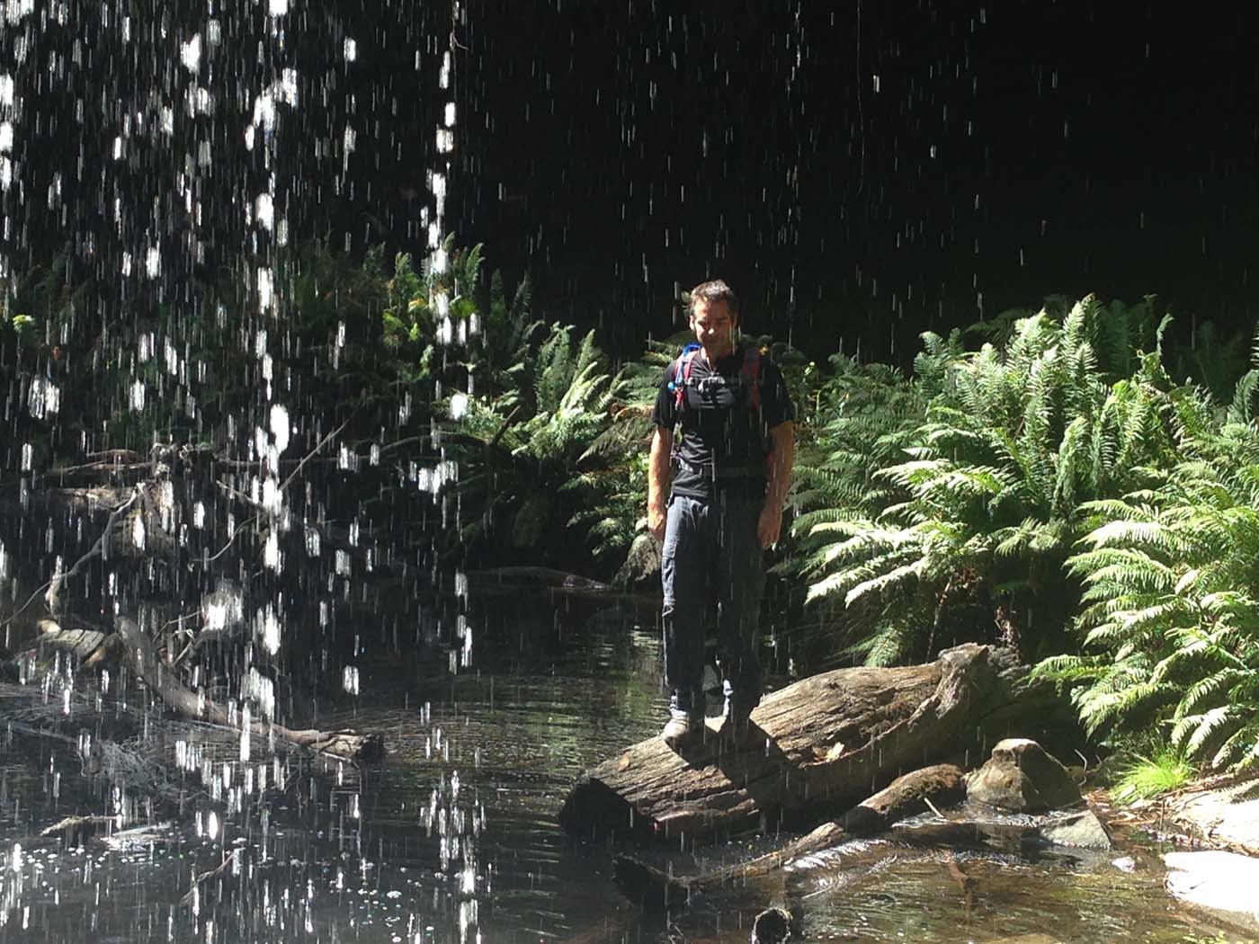 Lorne waterfalls hike (21)