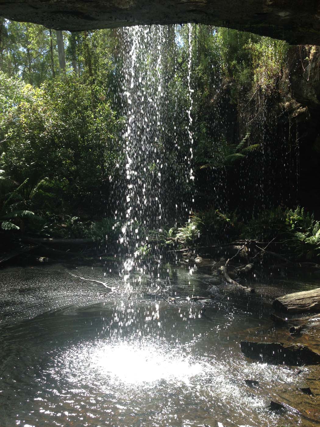 Lorne waterfalls hike (22)